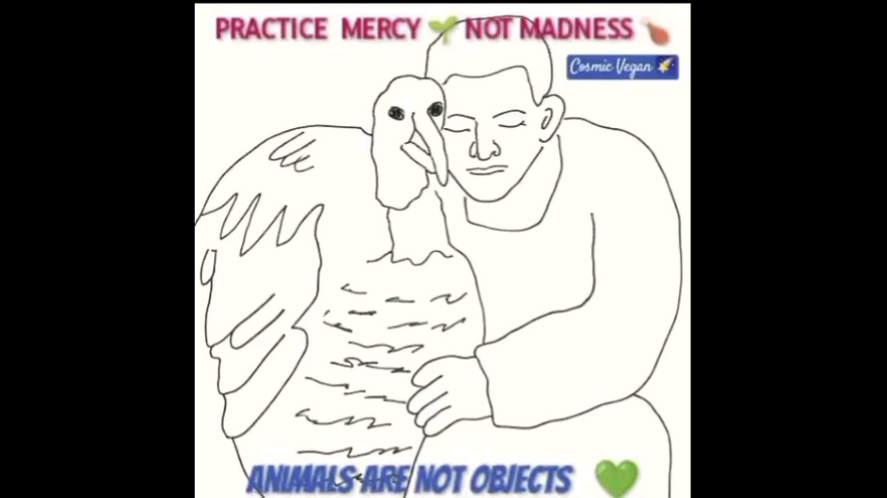 Practice MERCY Not Madness Practice MERCY Not Madness