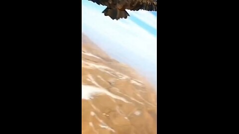 Love All Life Always #362 - Soar Today And Every Day. You Are God's Creation Of Beauty And Power...