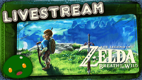 More BOTW Coop