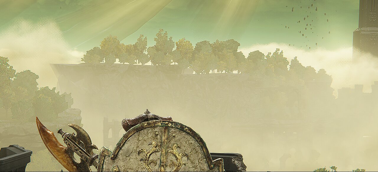 Elden Ring Nightreign!!!