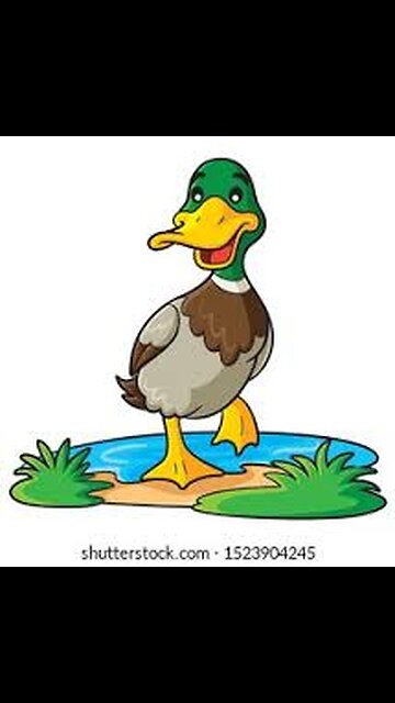 "Unlikely Friends: Duck Meets Pigeon!"