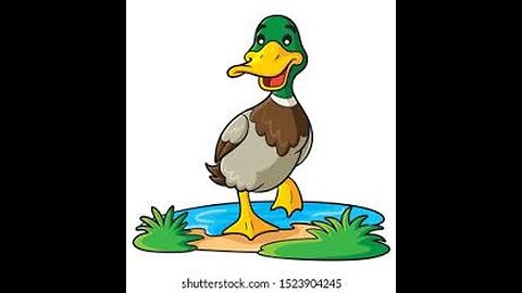 "Unlikely Friends: Duck Meets Pigeon!"
