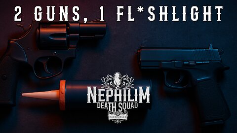 2 Guns, 1 Fl*shlight | NDS Chronicles: 022