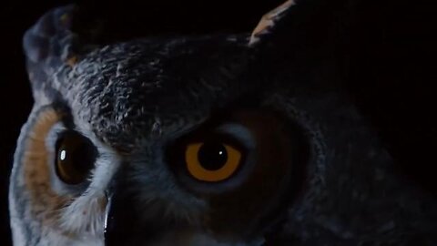 Blue Eyes - We are truly in a battle of Good vs. Evil. Dark To Light. ✨️