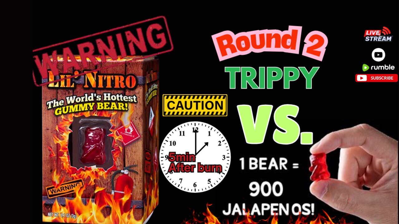 THE WORLD'S HOTTEST GUMMY BEAR: REVISIT Round 2