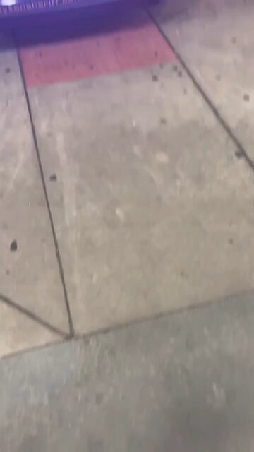 TOP FLIGHT THAT MAN TIRED