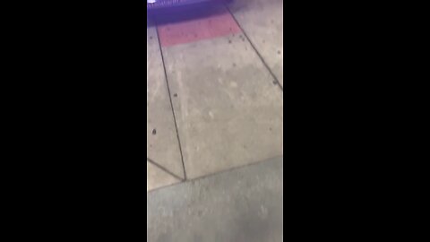 TOP FLIGHT THAT MAN TIRED