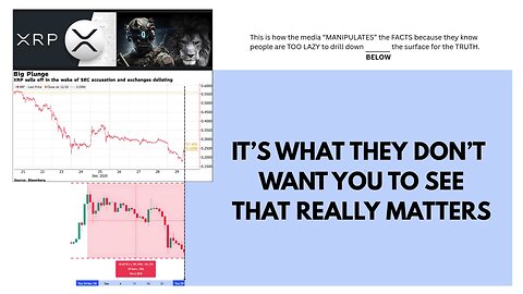 IT'S WHAT THEY DON'T WANT YOU TO SEE THAT REALLY MATTERS