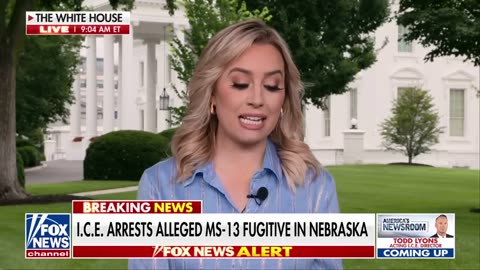 Breaking: The most sought fugitive is apprehended by ICE