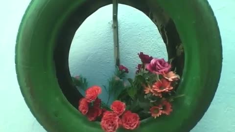 Plastic roses and flowers are seen in a green tire on a blue wall [Nature & Animals]
