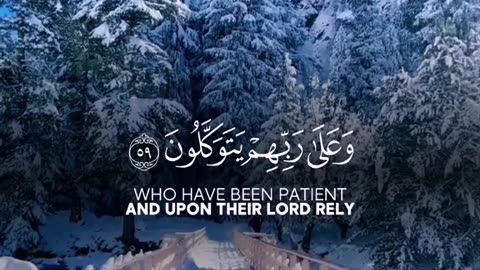 Off course 💯♥️✨🕊️