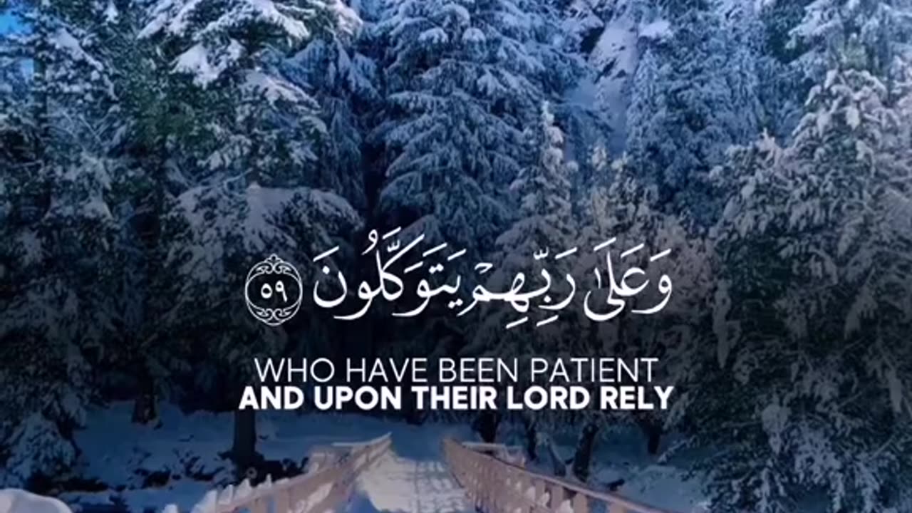 Off course 💯♥️✨🕊️