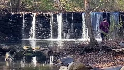 SHINING WATERFALL!