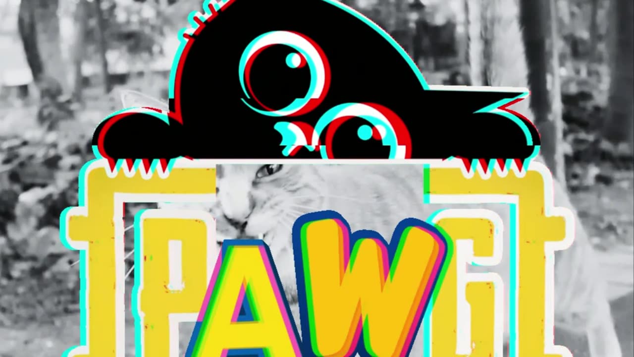 Abyssinian Cat Mama Introduces "ALT" to us for adoption