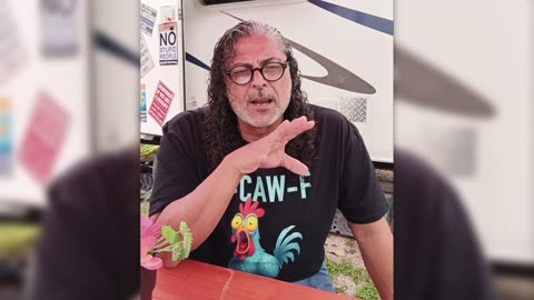 Narcissist Chronicles