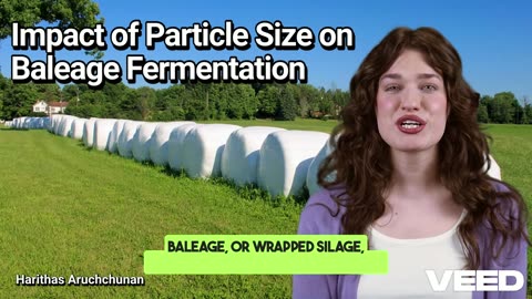 Does Particle Size Reduction Affect Baleage Fermentation?