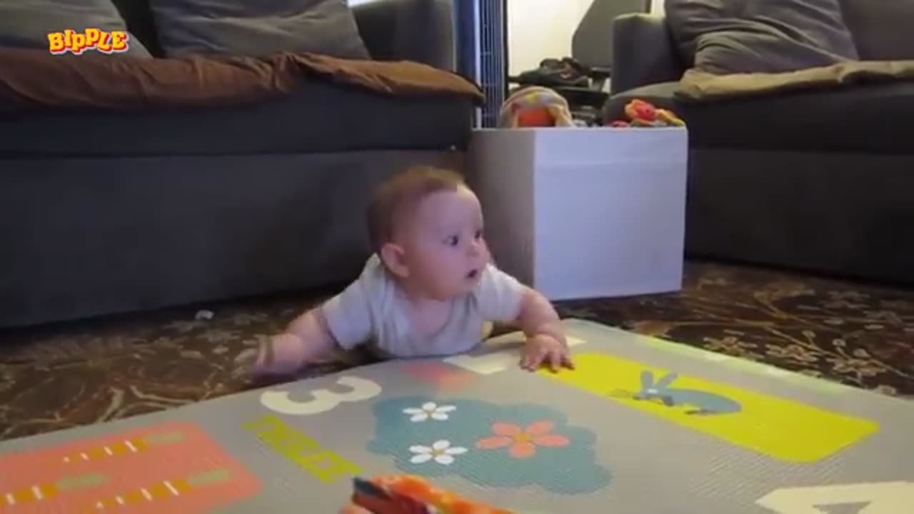 Funny Baby Videos That You Can't Miss!!! - Try Not To Laugh Challenge
