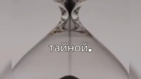 Винные Подвалы Крикова | Республика Молдова