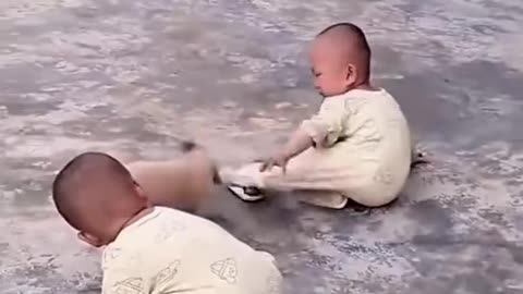 The puppy bullies the younger brother crazily, while the elder brother watches the fun