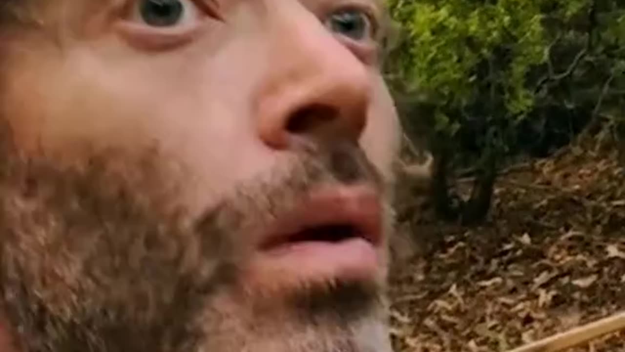 One big hog two hungry minds and zero agreement