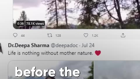 Himachal Pradesh Landslide: Doctor Tweets Her Happy Pictures Minutes Before She Died NewsMo