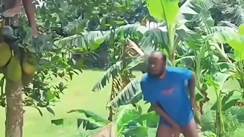 Funny Comedy Video 2025