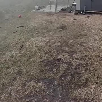 Family in Gary, Indiana pulls dog from cage moments before it was destroyed by a tornado