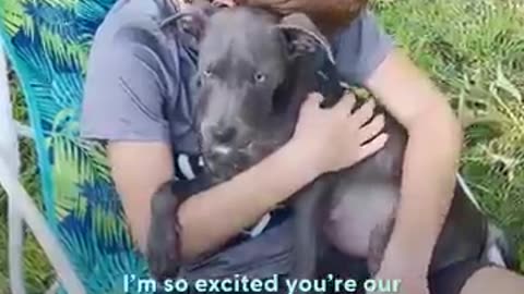 Shocking: Boy Begs His Mom To Keep The Dog They Rescued From The Street | The Do
