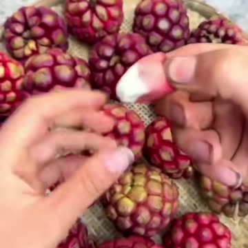 Incredible Amazing Fruits You Never Seen Before #fruit #shorts #nature