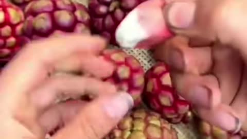 Incredible Amazing Fruits You Never Seen Before #fruit #shorts #nature