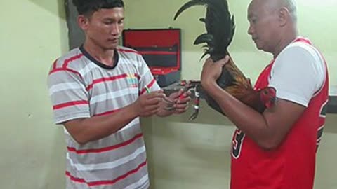 Missing Manila Online Cockfighters Being Identified | Role of Forensic Science | Tagalog