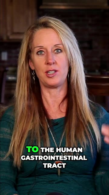 Hybrid Wheat Why Gluten Is A Modern Problem