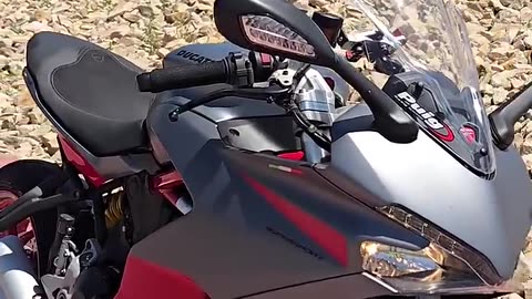 Did This Moose Just Get Challenged by a Ducati?