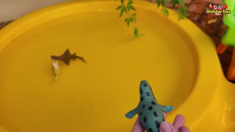 Yellow Turtle Jumps and Swims in Yellow Bucket