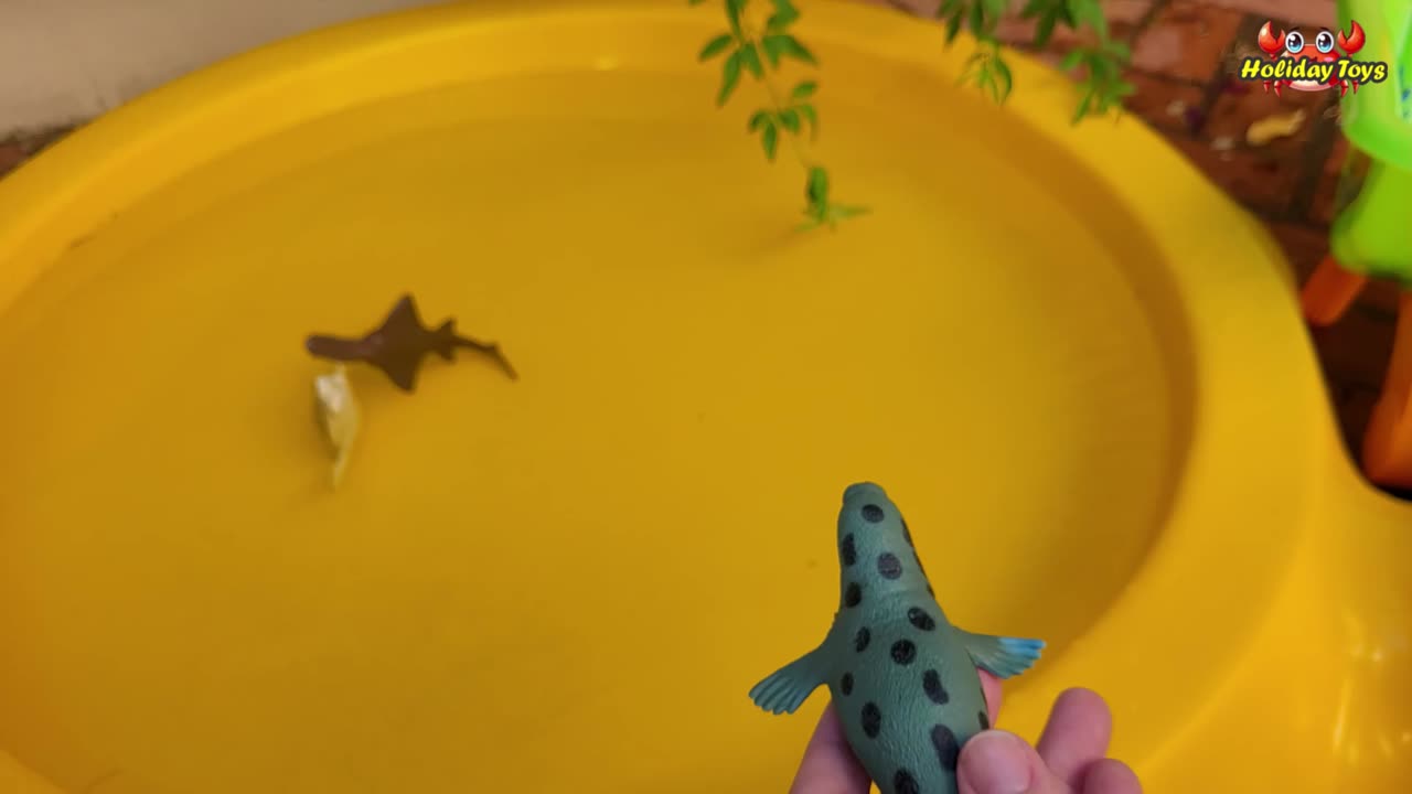 Yellow Turtle Jumps and Swims in Yellow Bucket