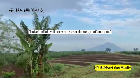 Partly about the Islamic religion 23