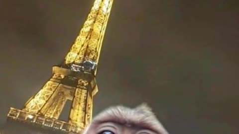 Eiffel Tower Selfie