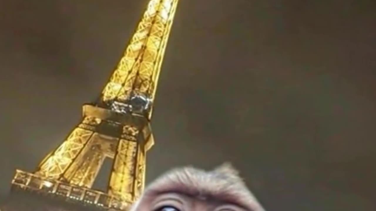 Eiffel Tower Selfie
