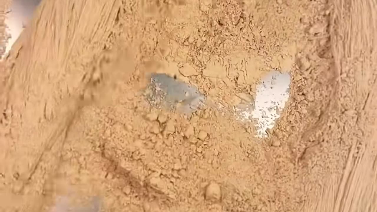 💡✨ A Clever Hack You'll Wish You Knew Sooner | LifeHacksDaily