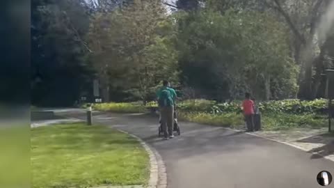 Zurich Botanical Garden Switzerland Tour