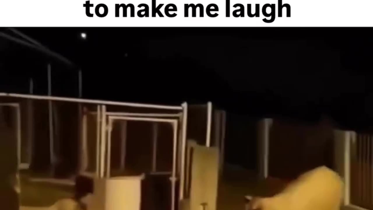 😎lol