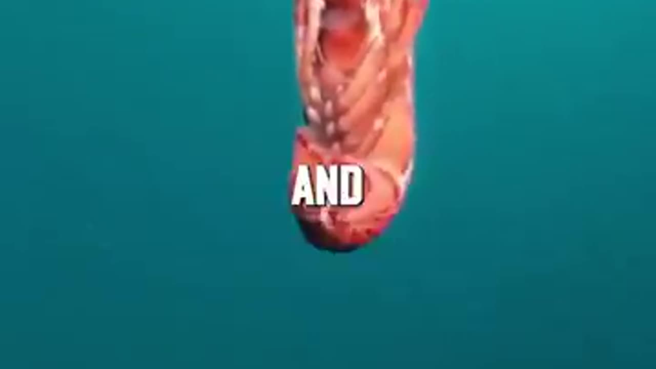 Dr. Abraham J. Twerski - A Life Lesson From A Lobster
