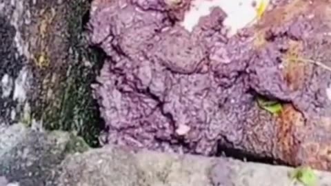 😱👻 You Won't Believe What They Caught on Camera! Ghostly Toksa | TheHauntingHour