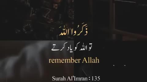 Surat Aal-e-Imran ( Verse: 135) #allah #muhammadﷺ #quran #islam #quranverses