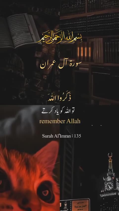 Surat Aal-e-Imran ( Verse: 135) #allah #muhammadﷺ #quran #islam #quranverses