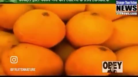 "The fruit they buy at the grocery store can literally be a year old before it's actually sold