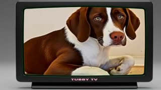GROK FREE AI VIDEO GENERATOR - AI SOUND WITH NO WATERMARK