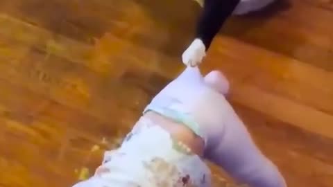Cats and children. Cats are like children.