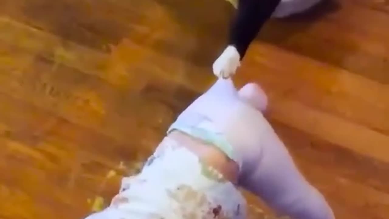 Cats and children. Cats are like children.