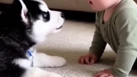 Puppy and the cute baby video, foryou, motivation, goviral